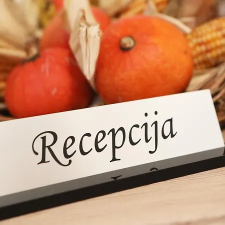 Διαμέρισμα Apartma Zigmund *