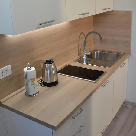 Lejlighed Apartma Zigmund *