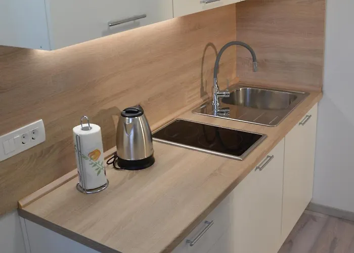 Apartamento Apartma Zigmund *